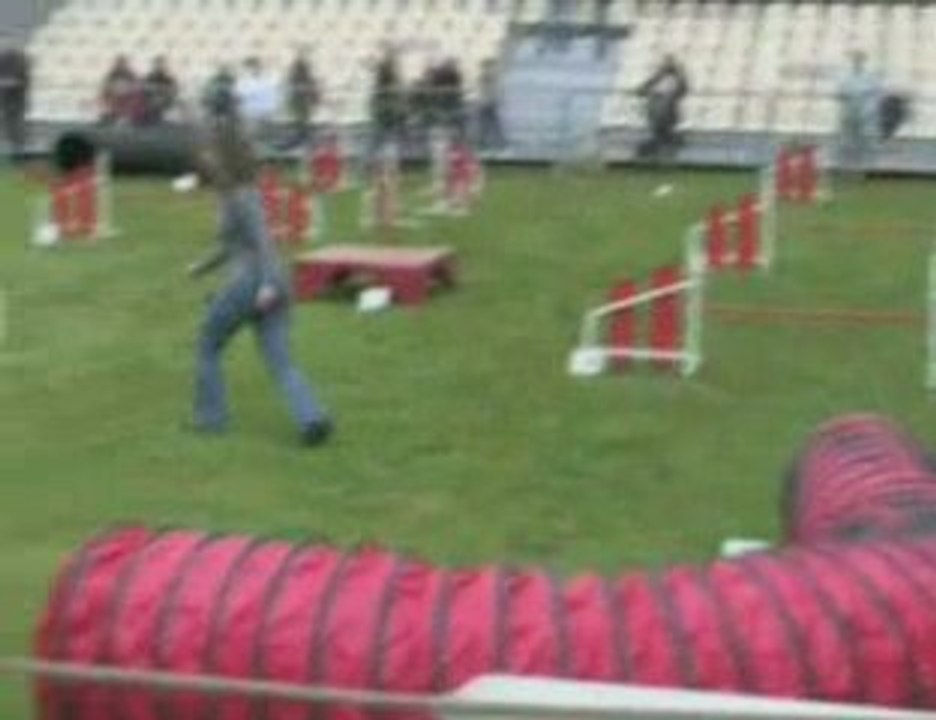 Fête des chiens des Pyrénées 2009 Argelès-Gazost