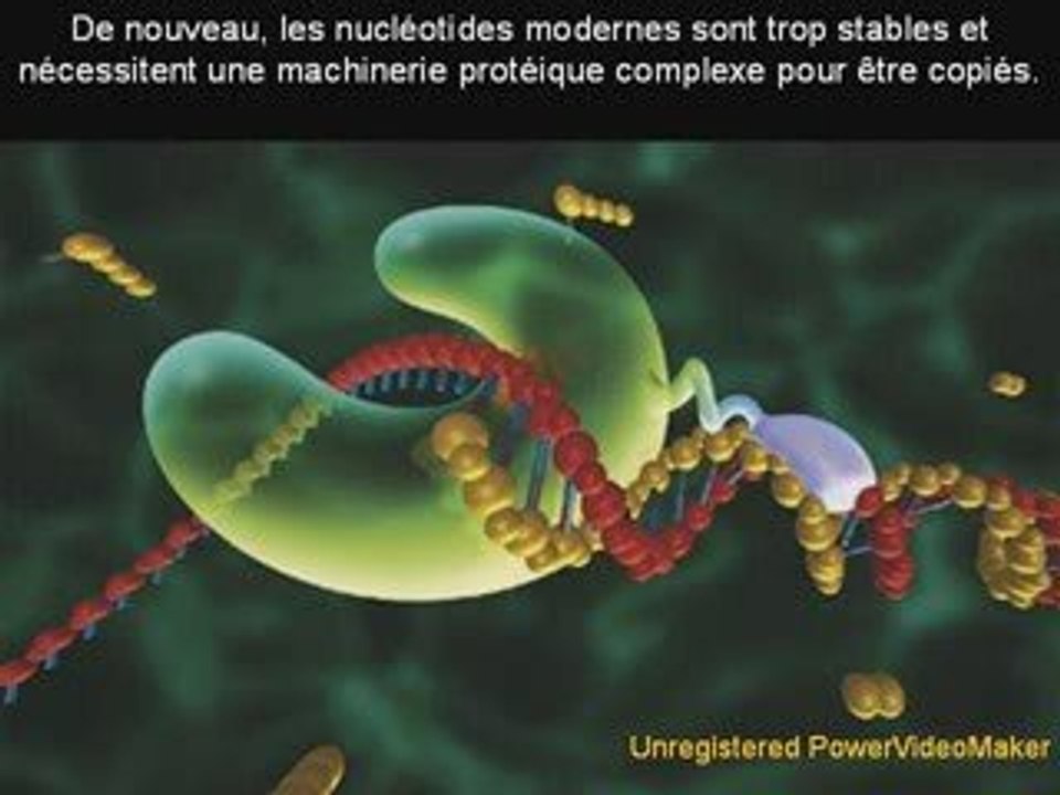 L'Origine de la Vie - l'Abiogenèse