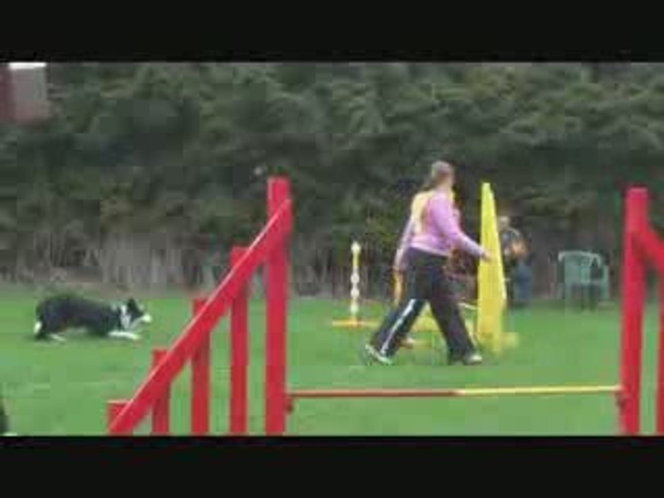 Blue Bell - Concours agility - 04/09 - Mastaing