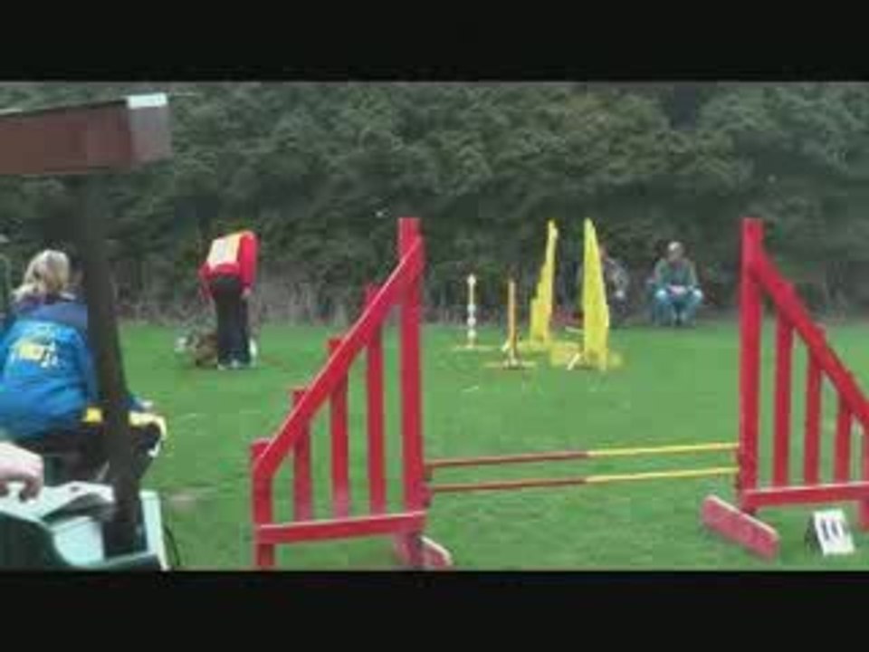 Cara - Concours agility - 04/09 - Mastaing