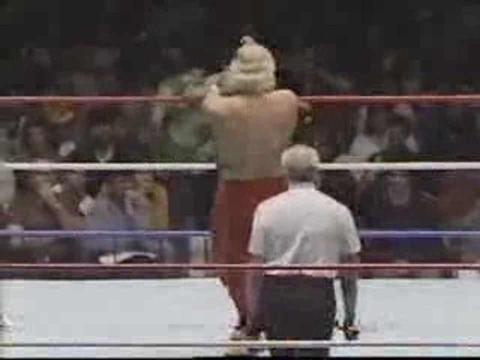 Randy Savage & Jesse Ventura vs. Tito Santana & Tony Atlas