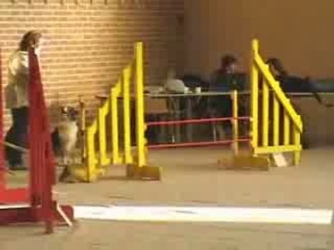 Utopie - Agility (salle Lourches) - 10/05 - Mastaing