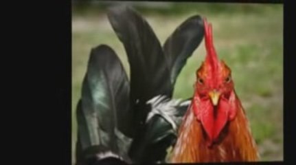 Are You Paying too Much for Contact Lenses?