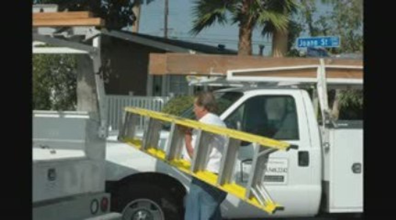 Fountain Valley Termites