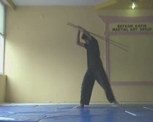 WUSHU uzun sopa tao