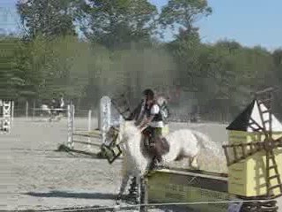 Vigneux : fête du cheval 2009