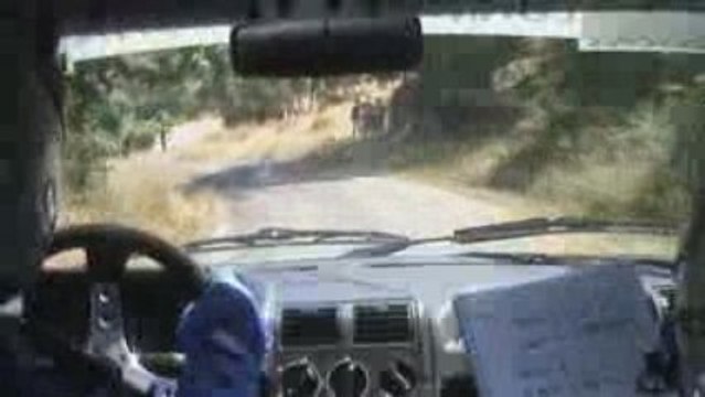 GAP RACING 2009 MORELLINI