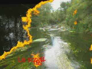 saison peche a la mouche 2009