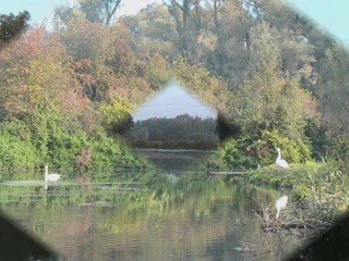 Session de pêche 5962