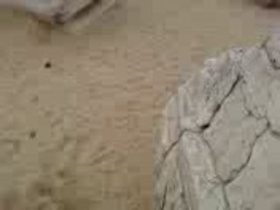 Parkour