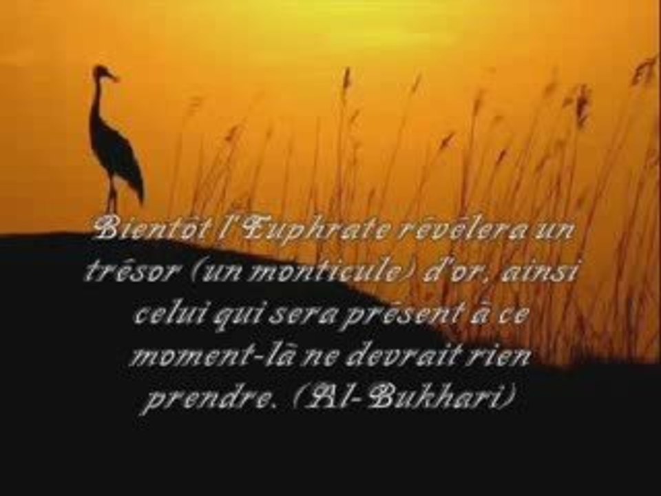 TREZOR DANS L'EUPHRATE part 1