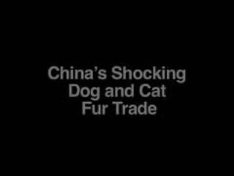 Re: Brazil vs Venezuela All goals and Highlights