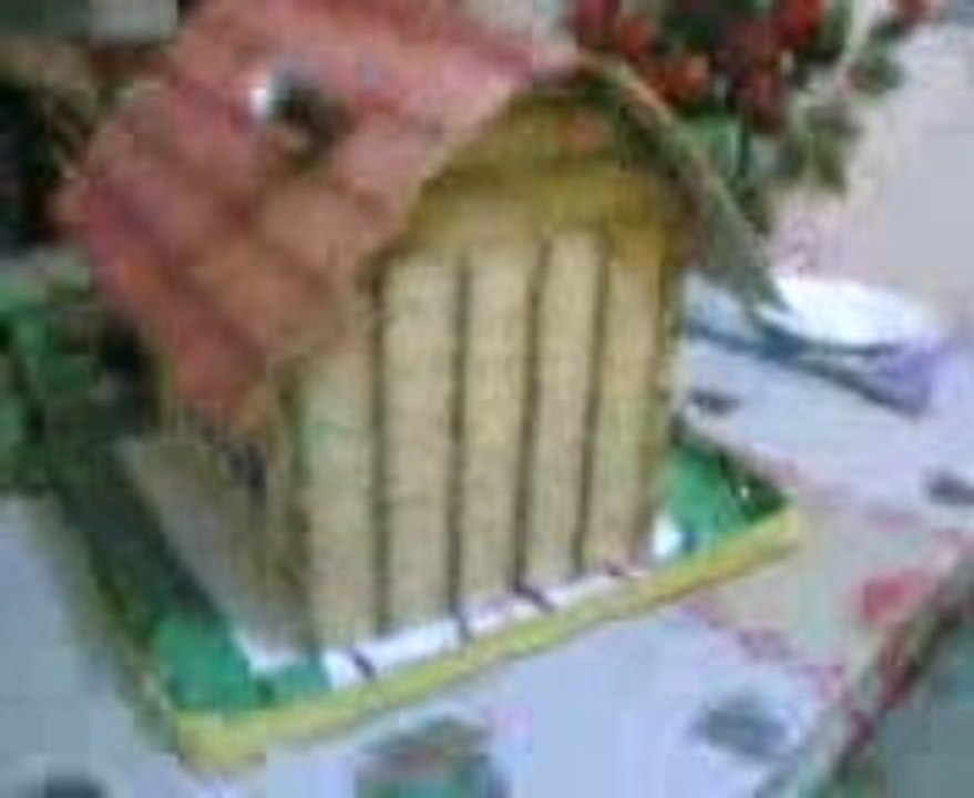-Video (49)