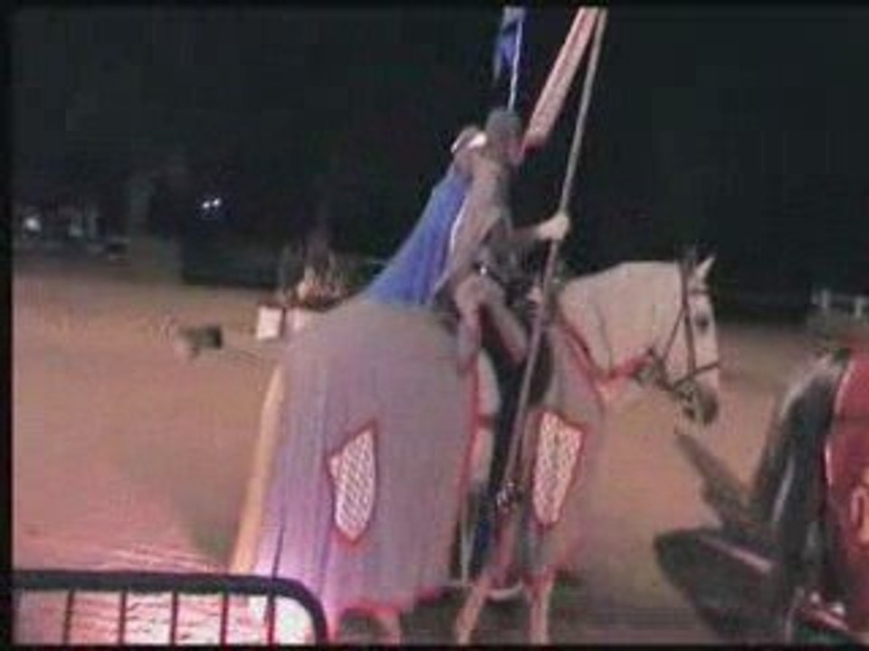 bicentenaire haras1