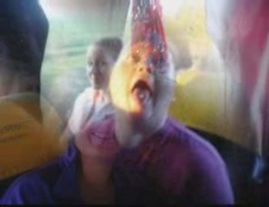 majorettes les alicias et le musik show 2009