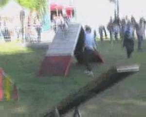 Agi - Foire aux haricots 09 - Emmeline et Renleï