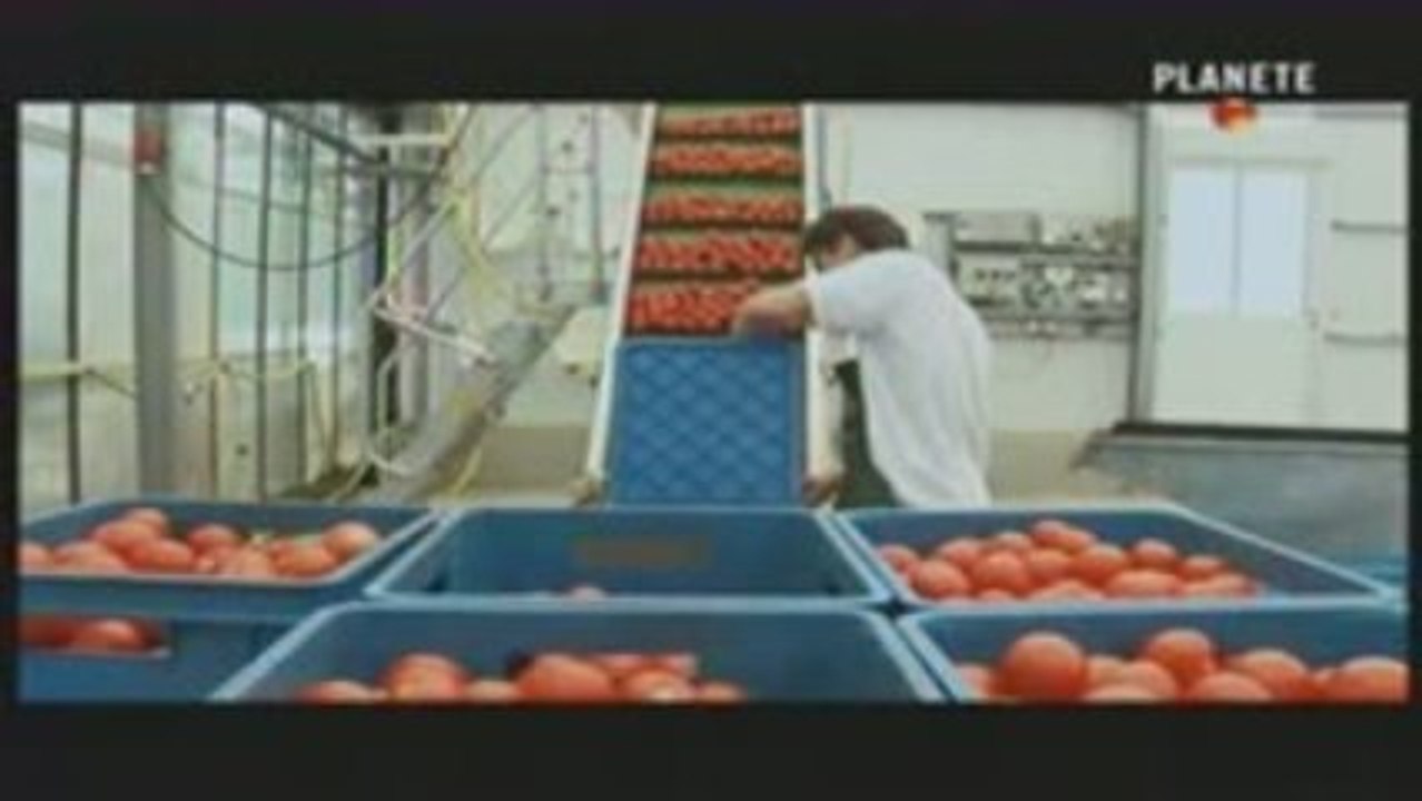 les tomates voient rouge_2/2