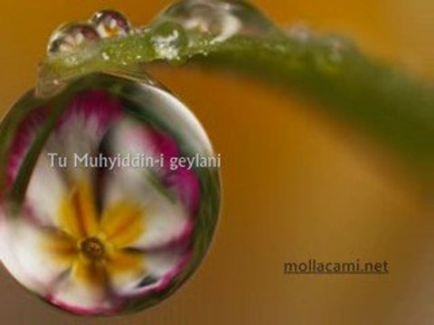 Mehmet Yetkin Mualla Gavsi