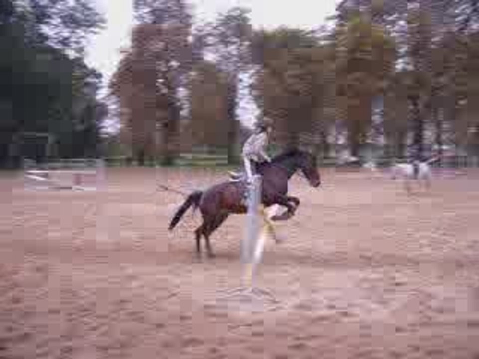 encore mwa et kalia en saut dernier obstacle a peut pres 1m