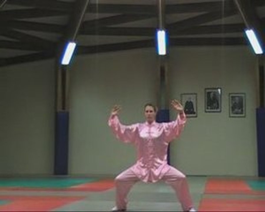 Chen shi Tai Ji quan 56 formes