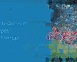 Frappe de N.anelka sur 20 mètre sur pes 2010