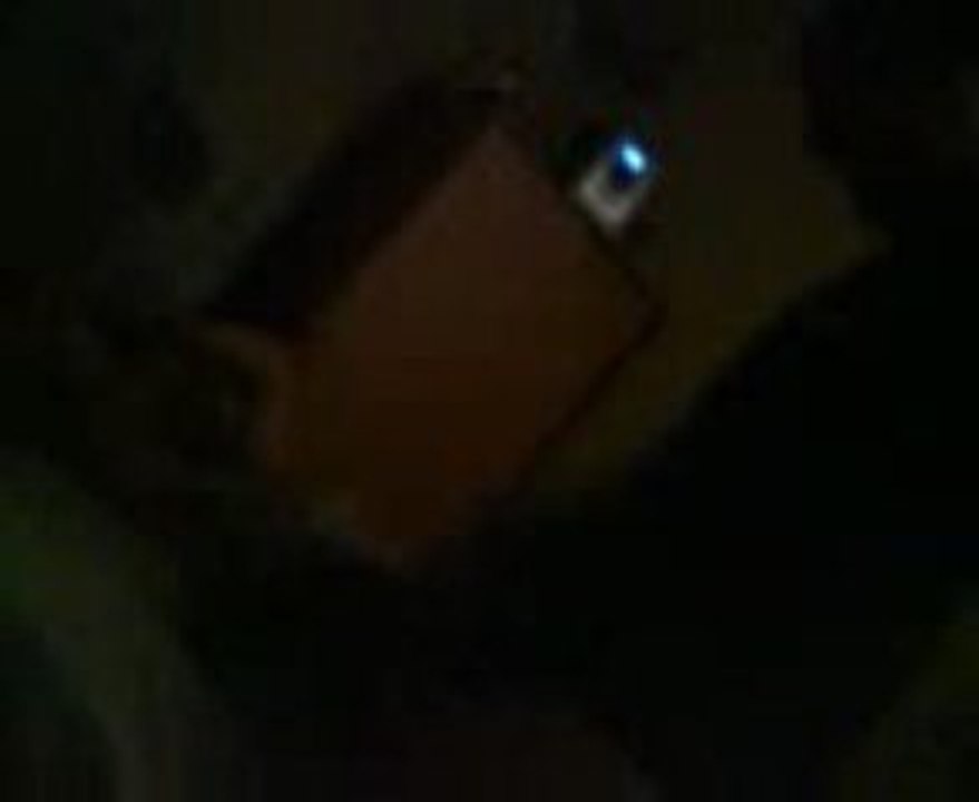 MOV00176