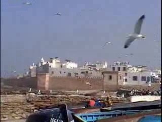 Excursions à Essaouira, Merzouga et aux cascades d' Ouzoud