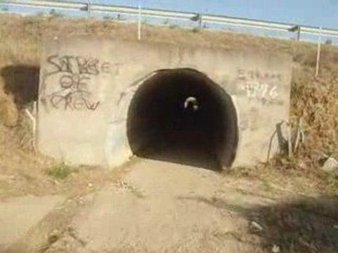 rando quad sud .fr du 20 sept n° 1