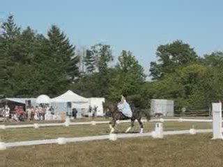 Vigneux : fête du cheval 2009