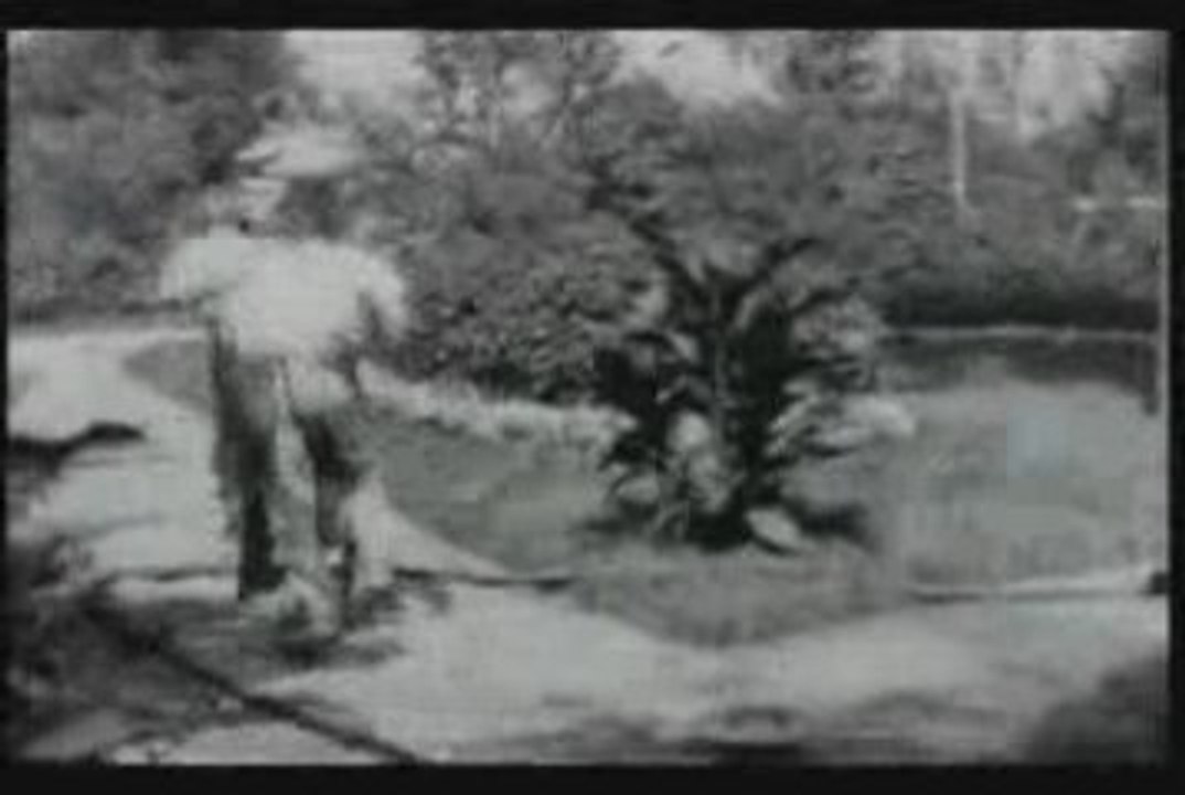 Cinéma des frères Lumières  - 1896 - L'Arroseur Arrosé