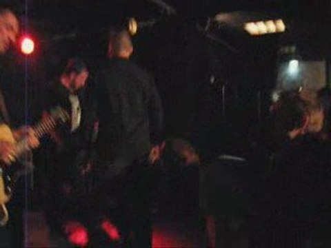 DOGS Tribute - Tupelo Soul : i wanna be your dog