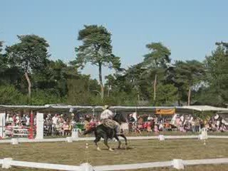 Vigneux : fête du cheval 2009