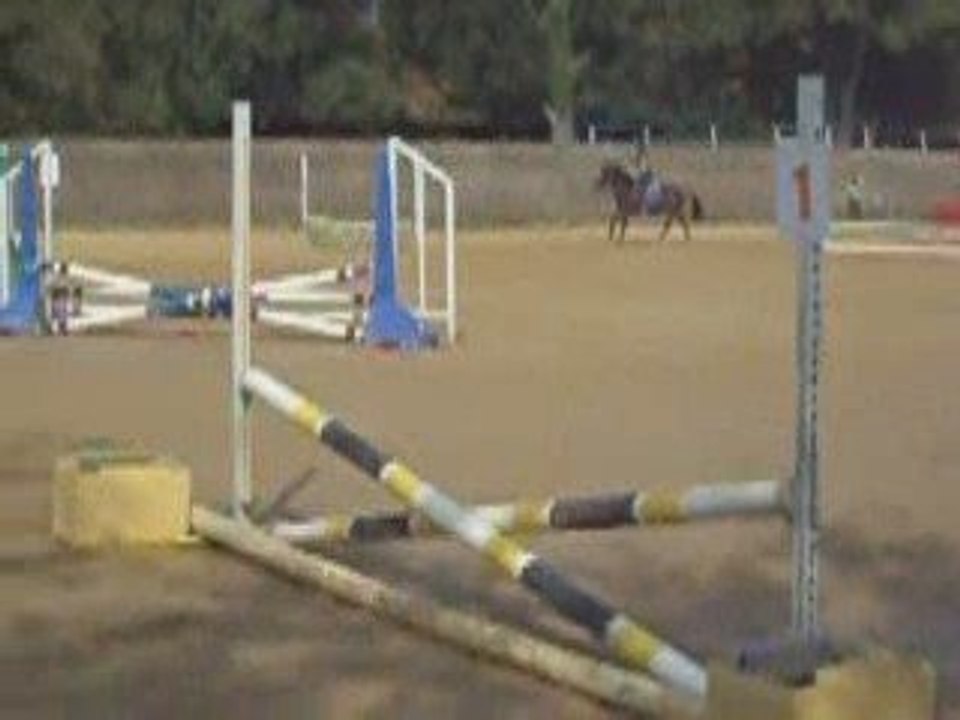 Concours Paprika et moi, sans fautes 80 centimètres