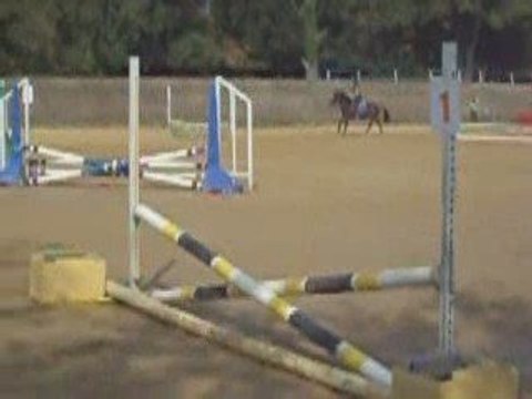 Concours Paprika et moi, sans fautes 80 centimètres