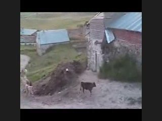karahankoyu-ispir-erzurum