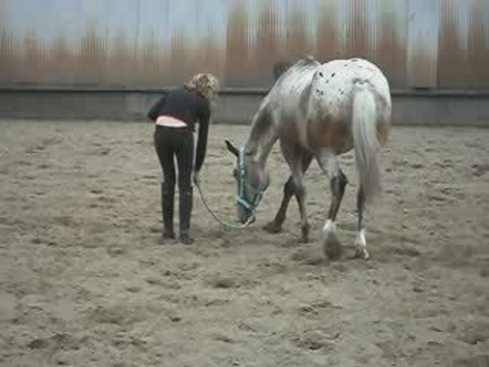 roxane