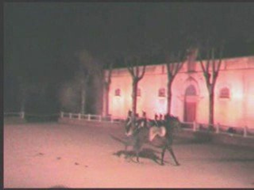 bicentenaire haras 5