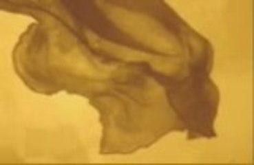 Ritratto nell'acqua: appunti per la genesi di un progetto