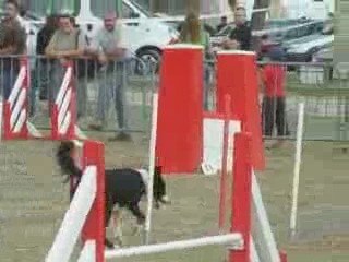 Angel Jump Trèbes 09
