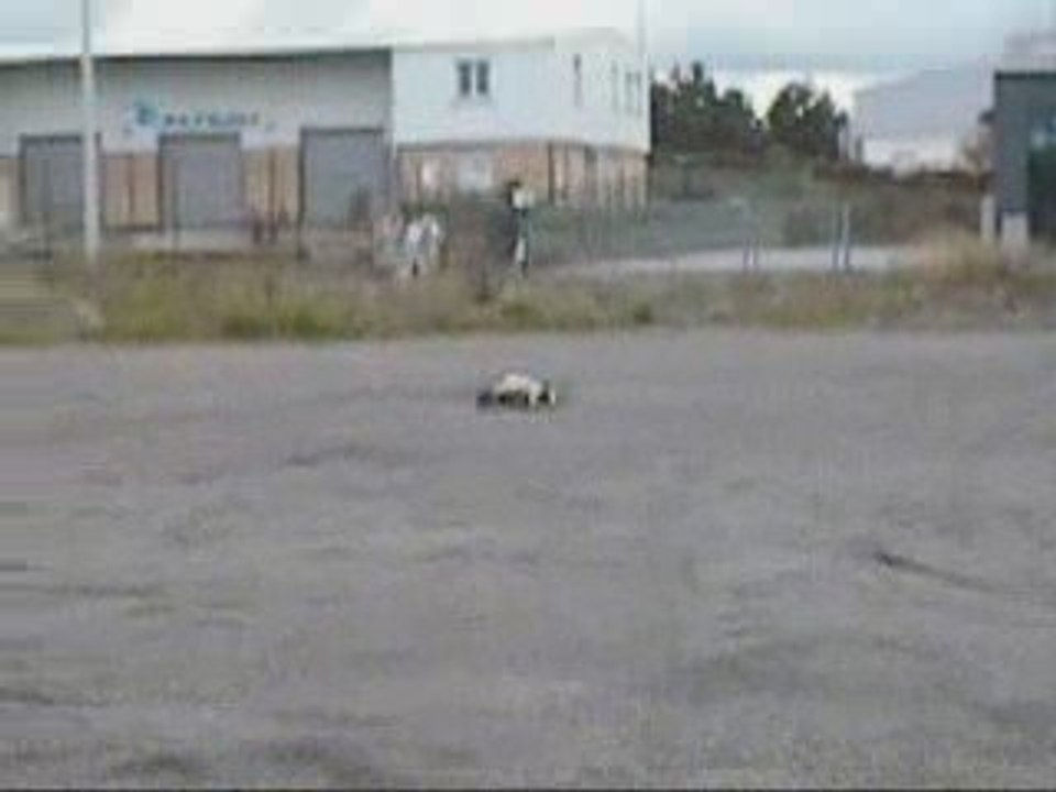 tekin rx 8 sur inferno st aux circuit de saint genest lerpt