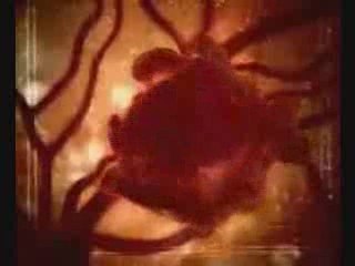 Every Cigarette Is Doing You Damage - Video