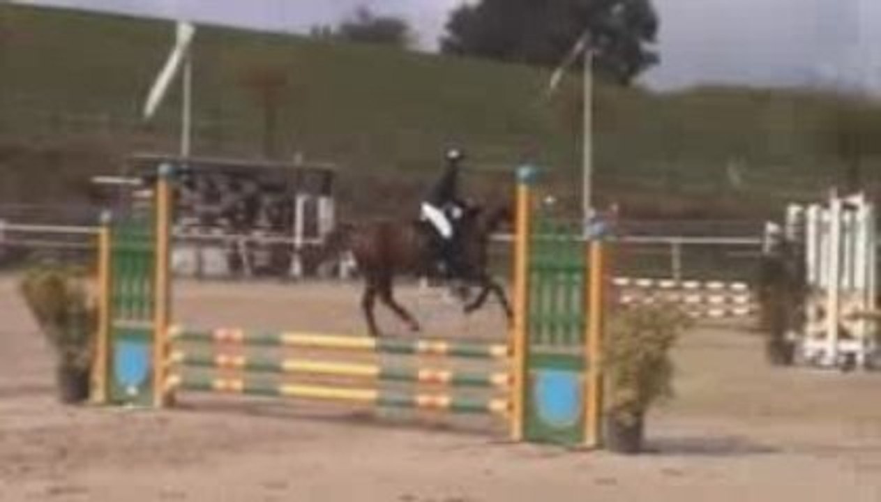 Concours Mont-sur-Lausanne - Passion Platière - 60-80cm