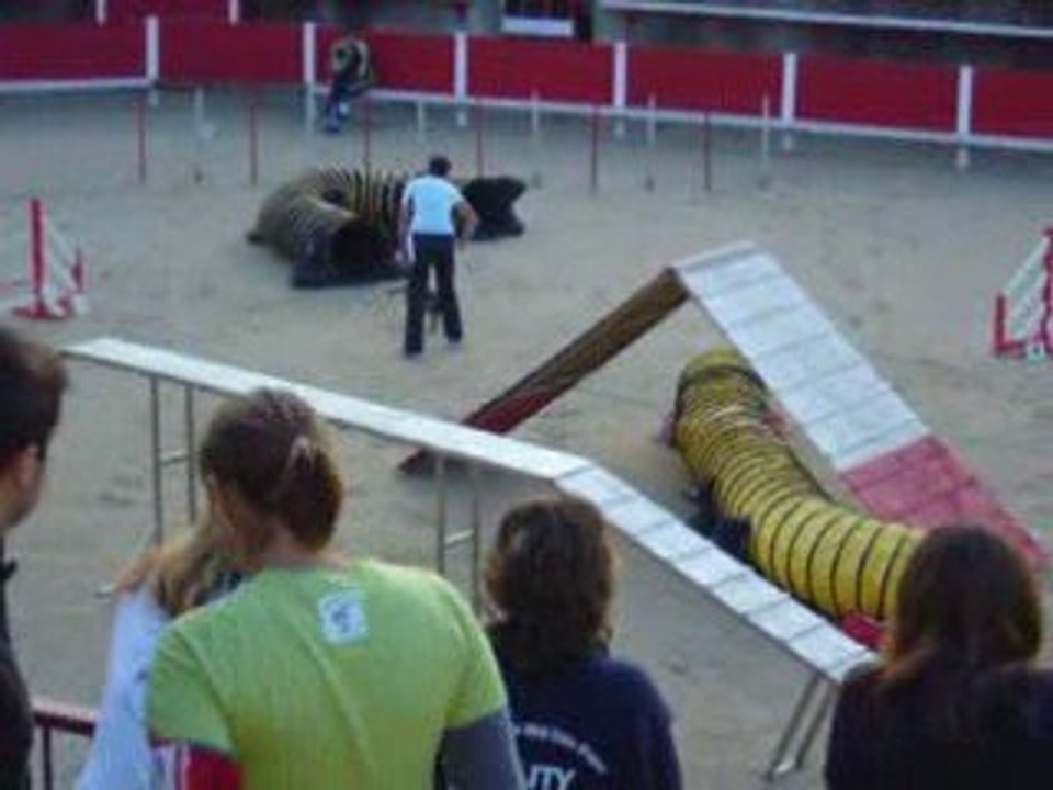 Ducky 1er concours Cabrières sept. 2009