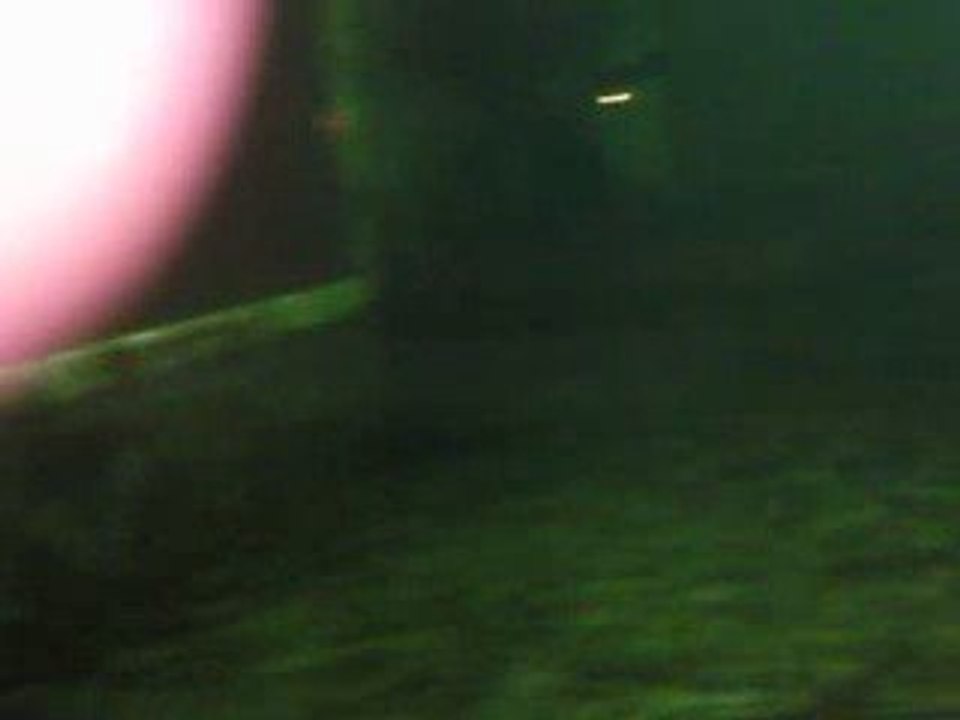 Aqua Marine - Köpekbalıkları..