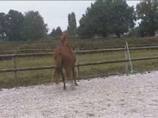 taslelook 1er jour 2009