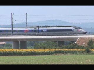 TGV 231: Suite de Pacific 231 de Jean Mitry 🚅