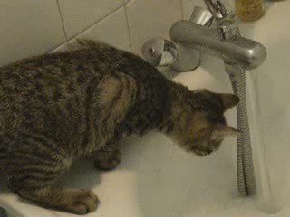 Eris sur la baignoire