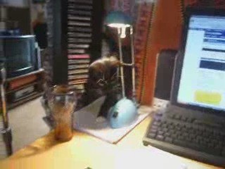 Kira, voleuse de pinceaux