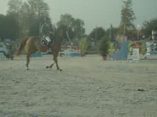 Fête du Cheval à Jardy