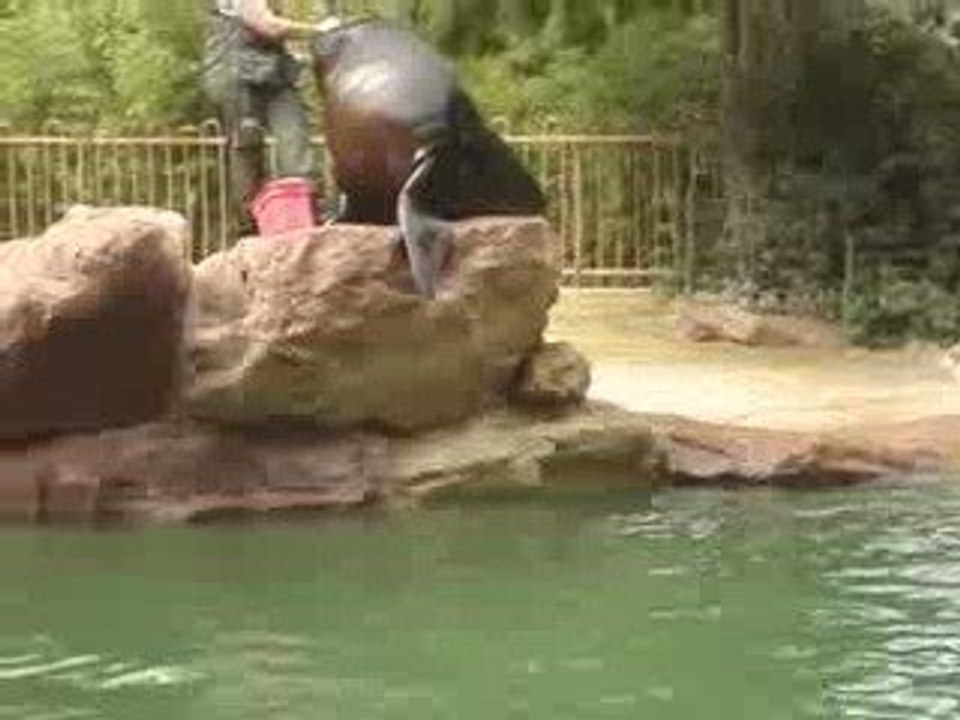 Mulhouse ( Sud Alsace ) le zoo